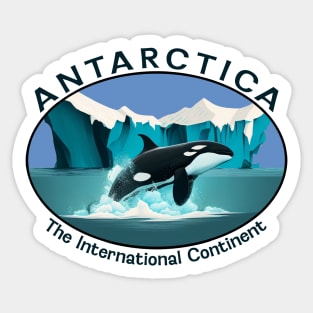 Antarctica Orca Whale and Iceberg Design Sticker